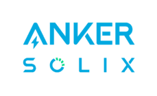 Logo vertical colorful